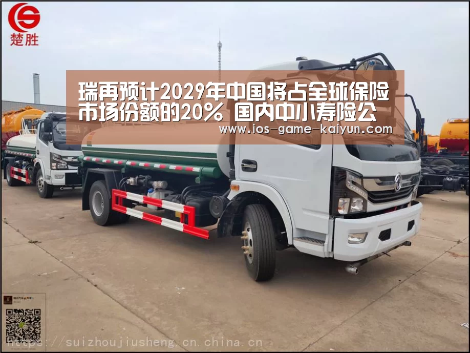 瑞再预计2029年中国将占全球保险市场份额的20% 国内中小寿险公司压力与挑战并存|开元体育(图1) 开元体育app