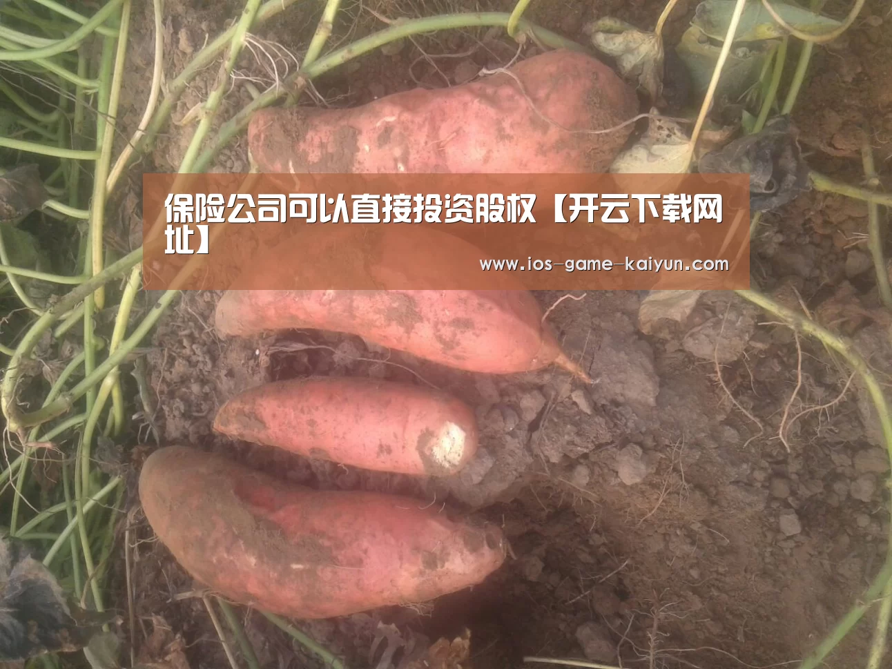 保险公司可以直接投资股权【开云下载网址】(图1) 开云体育网站
