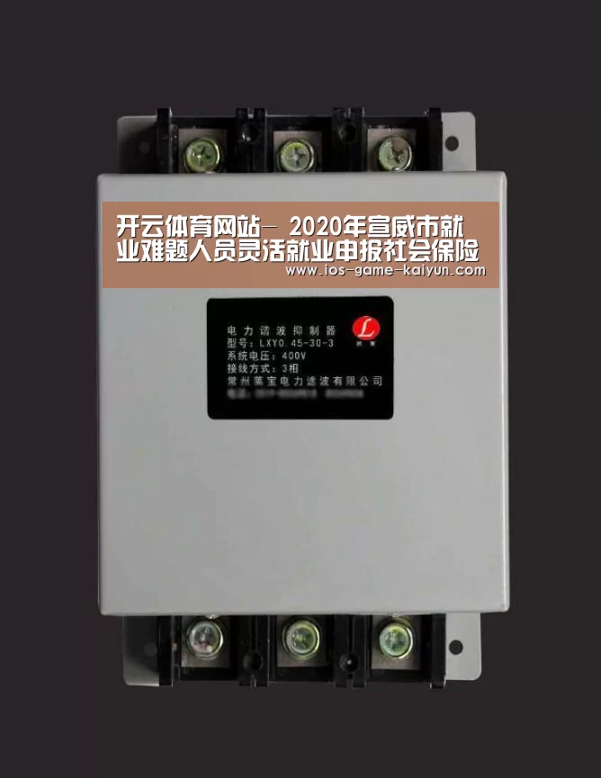开云体育网站-
2020年宣威市就业难题人员灵活就业申报社会保险补助通告(图2) 开云下载网址