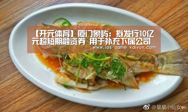 【开元体育】厦门象屿:拟发行10亿元超短期融资券 用于补充下属公司流动资金(图2) 开云下载网址